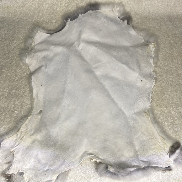 Vintage Rabbit Fur Pelt with White and Grey Fur (19 in) - Picture 4 of 4